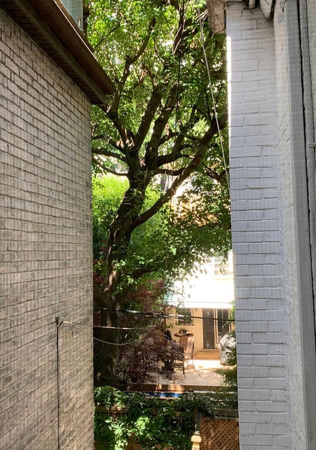 Jacob22 B&B Toronto Ngoại thất bức ảnh